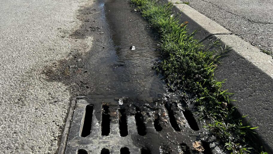 6c319a8f 41ce 40d4 83af 4c6dc0a64448