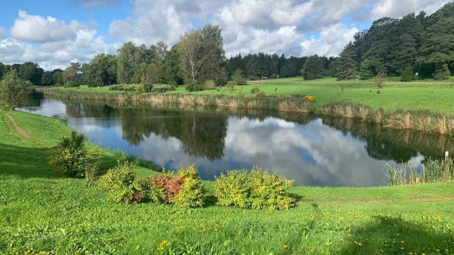 7997a920 9093 11f0 91ed f5d6c43cd3f2