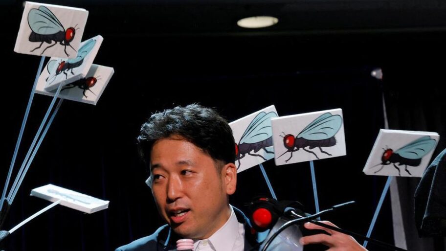 b4a088a0 954f 11f0 a9d0 b91ec0b66439