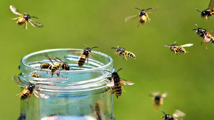 b4eca1d0 8c04 11f0 8629 670da43d4fe9