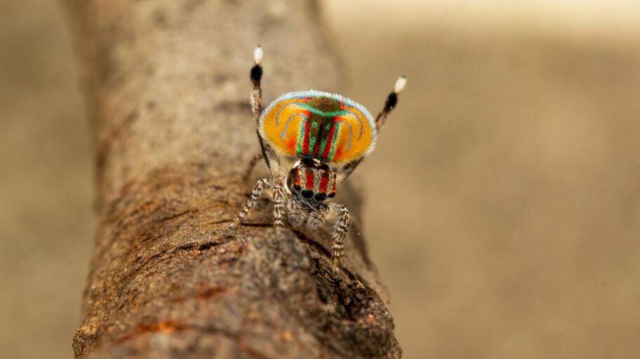 bead7050 8e2f 11f0 8bfd 43c7ca883cc7