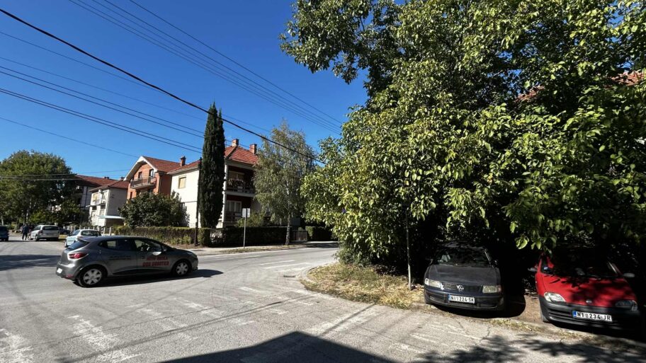 Foto-vest: Znak stop skriven u granju u Studeničkoj u Nišu 4 d364b346 8052 40f2 a446 79d831ae51bb