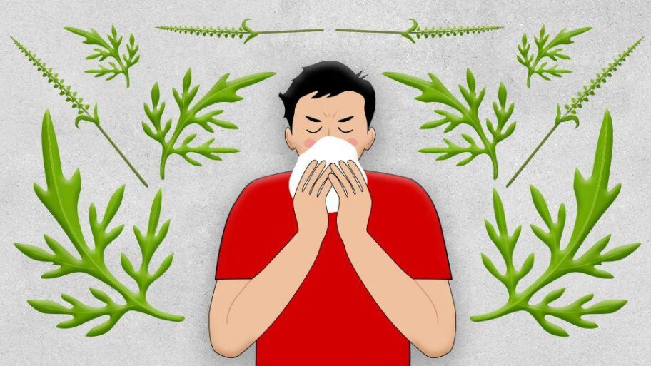 e3d552c0 90c9 11f0 9cf6 cbf3e73ce2b9