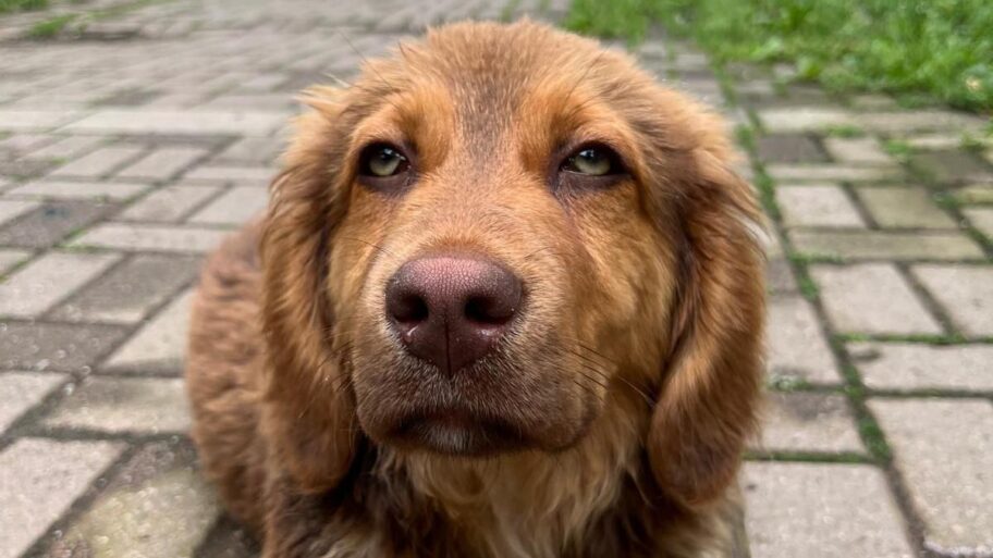 e65bc930 8268 11f0 a832 3d1a9236e27e