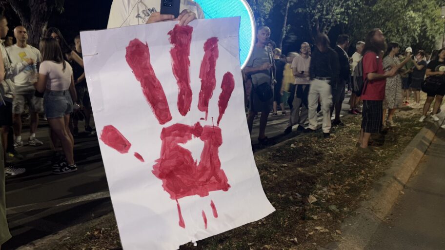 "Sistem je pao kad je udario na decu" - u Nišu održan protest solidarnosti sa Novosađanima 6 img 8036