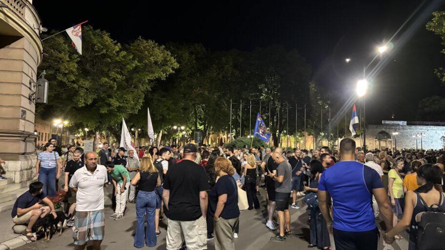 Niš večeras uz Novi Sad: "Na brutalnost režima odgovaramo jedinstvom" 2 img 8210