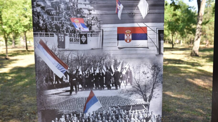 izloba foto jelena misi