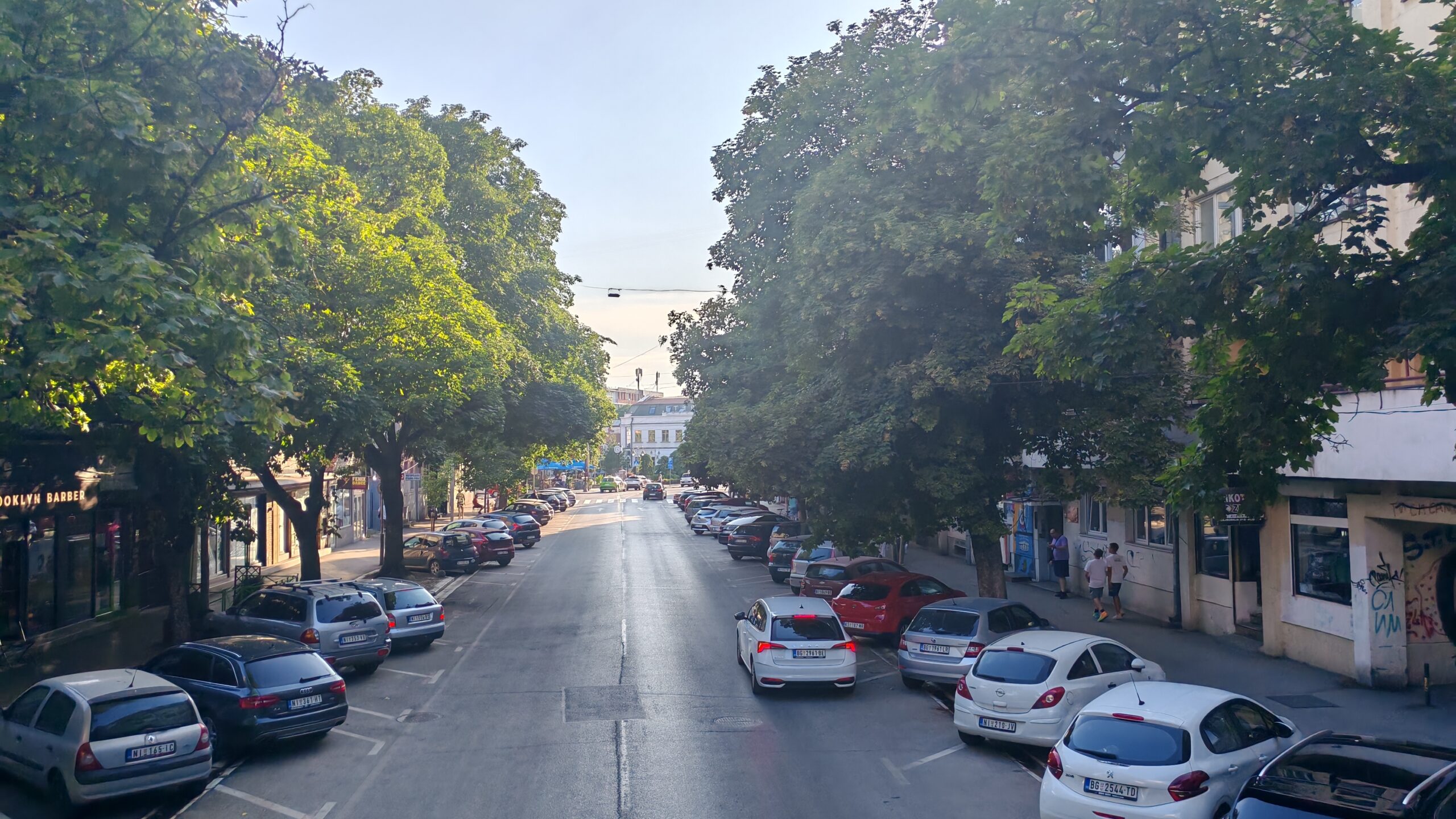 nikole pasica scaled