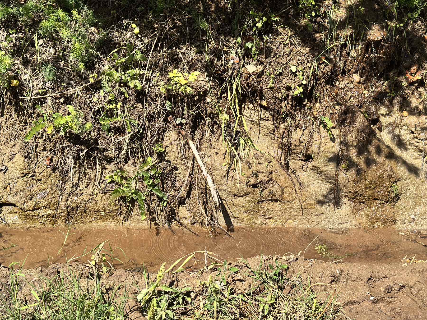 Misterija u Donjoj Vrežini - voda izlazi iz brda, ne zna se uzrok, meštani strahuju od klizišta 1 viber image 2025 09 08 14 04 24 803