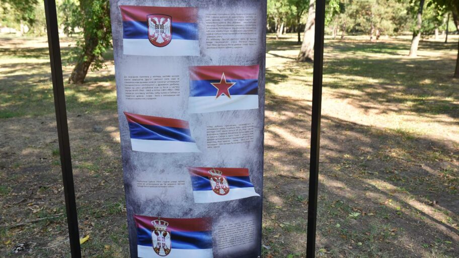 zastave foto jelena misic