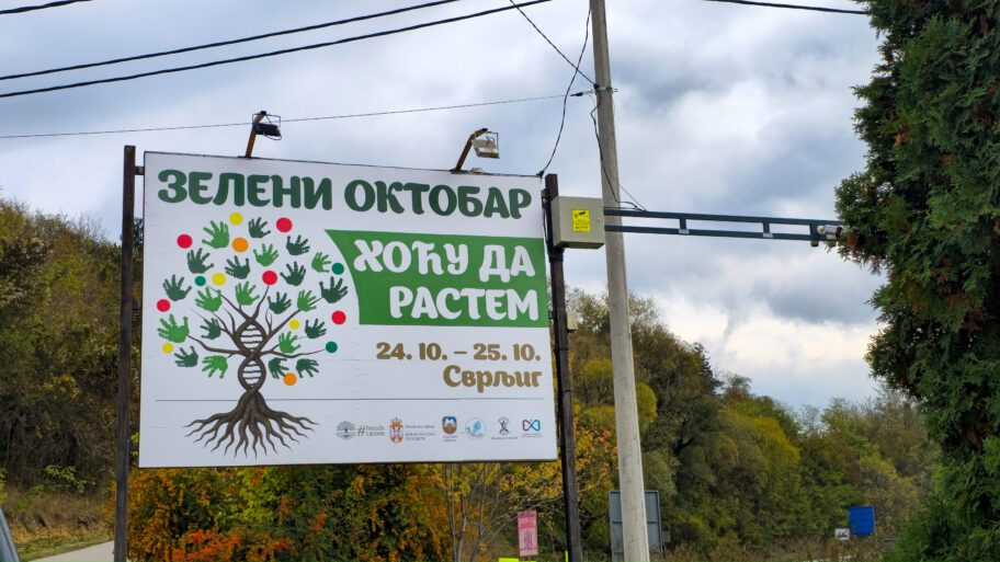 Svrljig domaćin „Zelenog oktobra“ i Međunarodnog dana osoba sa ahondroplazijom 2 11001