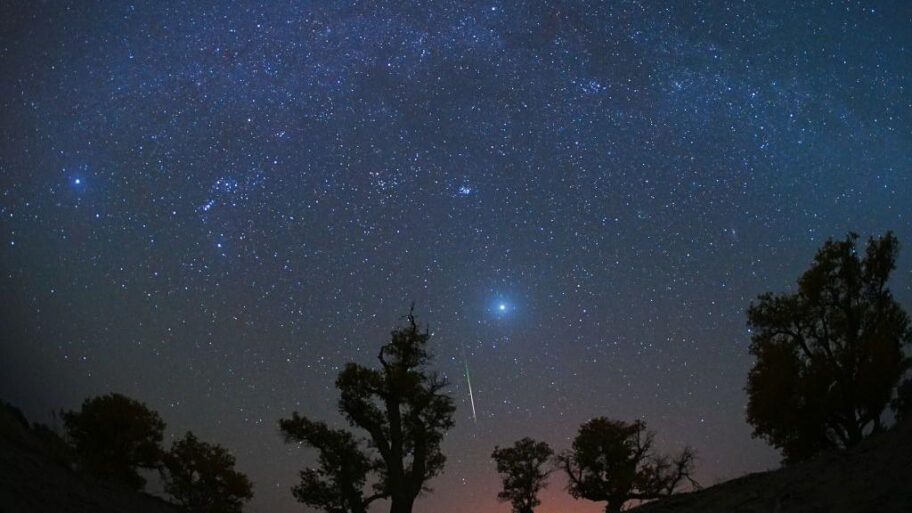 1b496550 a053 11f0 b687 23a5afa8b42e