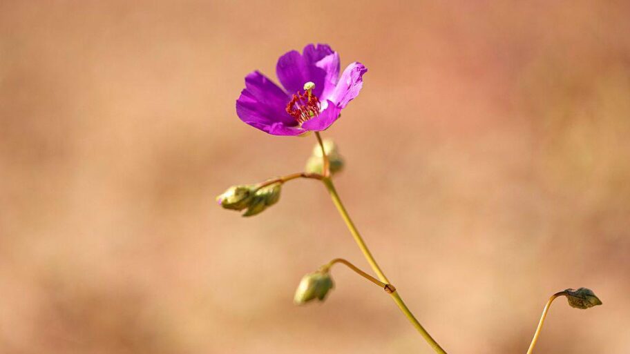 2c24b750 a763 11f0 93e3 054bcb63bc18