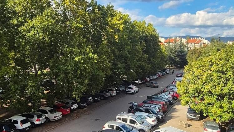 Nagnute grane "prete" vozilima i prolaznicima na parkingu u Nišu 5 544bdc66 76b9 49d2 8eee 5066d1154bb9 copy