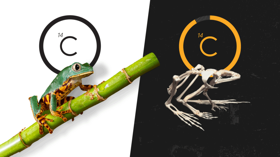 6769bdf0 7e97 11f0 83cc c5da98c419b8