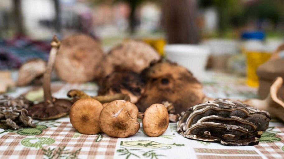 7080cc69 db70 4c9e 9405 0d1c09d90e84