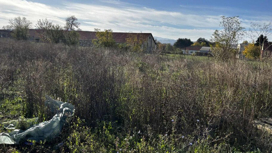 785fc3f4 b652 4857 b8b9 f810e9c71736