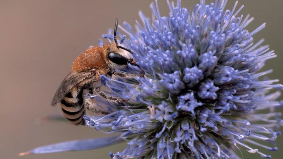 82eed800 a8c5 11f0 b0df 05ea5e3542cc