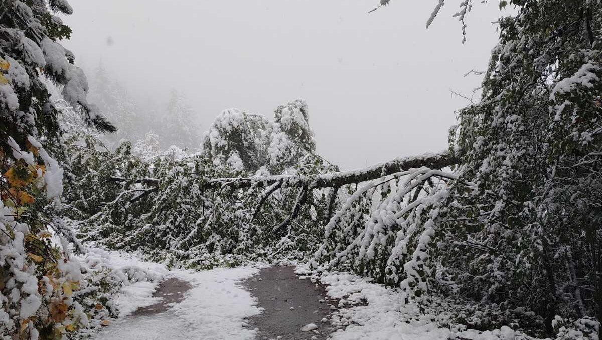 Šesti dan bez struje Crna Trava, vanredna situacija na snazi 1 IMG 804396ae75c88ee3cd80424885fca121 V e1759756990870