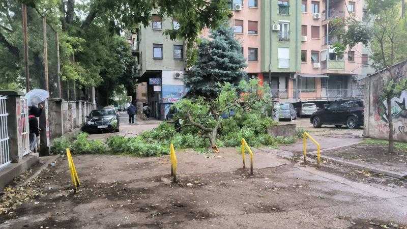 IMG 20251008 135005 061