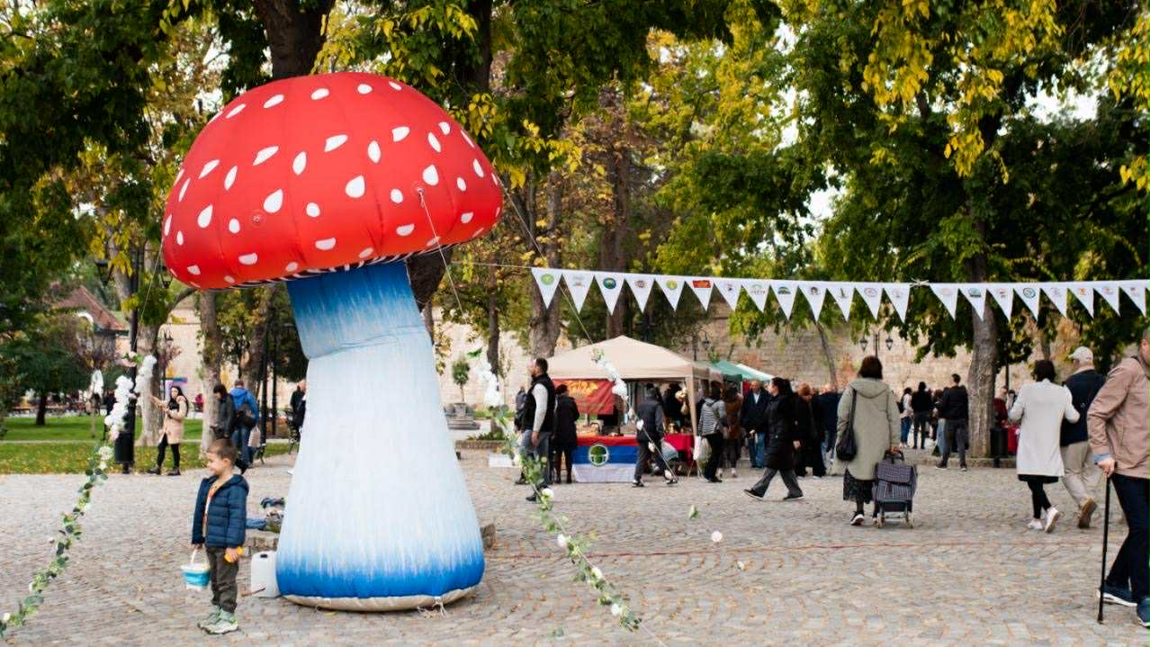 "Jedini način da se izbegne trovanje je znanje" - održani Dani gljiva u Nišu 1 c381b3e3 421c 469e 86c5 9288bc4db044
