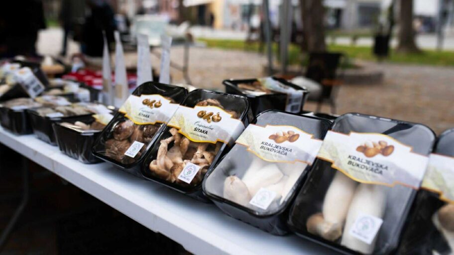 ed65f568 7230 48fe 8fd9 dfd97359ed61