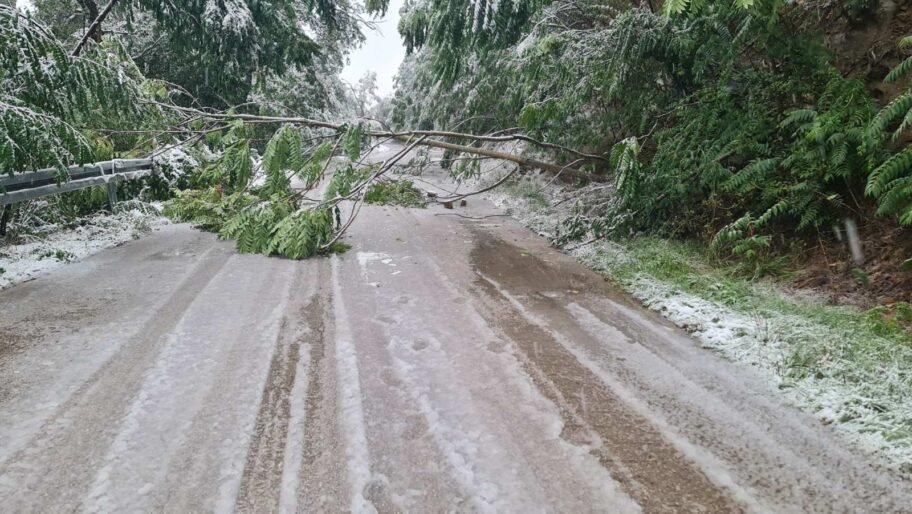 Sneg pada i na jugu Srbije, neki putevi blokirani oborenim stablima i banderama 2 kulinia 1
