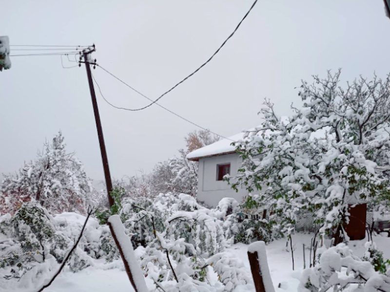 EDS Leskovac tvrdi da je većina kvarova otklonjena, meštani Crne Trave poručuju da su i dalje bez struje 3 sneg j