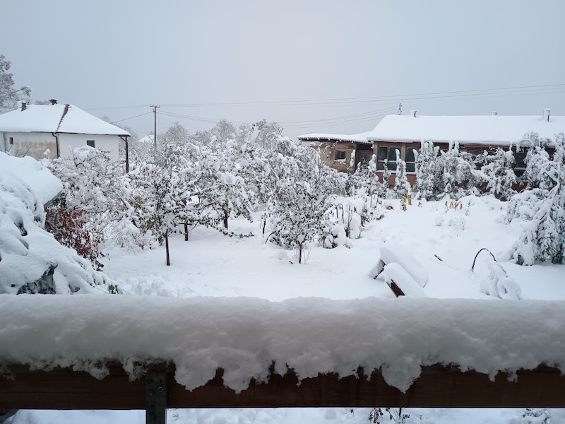 Meštani Darkovca i okolnih sela u opštini Crna Trava već 12 dana bez struje i osnovnih uslova za život 4 sneg m