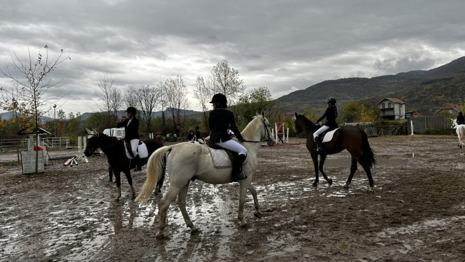 Elegancija i snaga na "Kupu kneza Mihaila" - konjički sport se vratio u Niš posle četvrt veka 15 063da130 c568 45eb 802b 521033b2b498