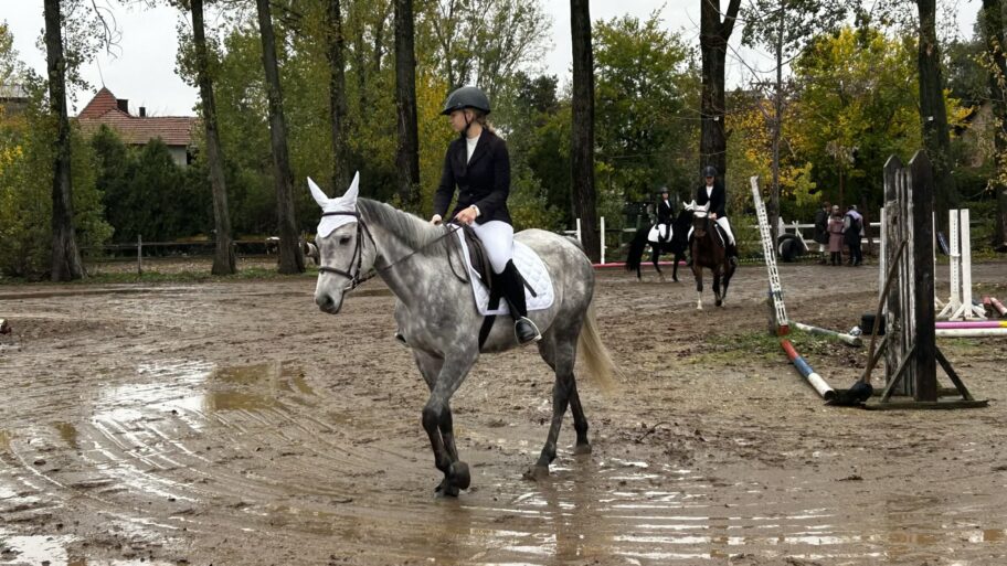 0c9bad15 d791 48d1 9dd9 7243c725f0c8