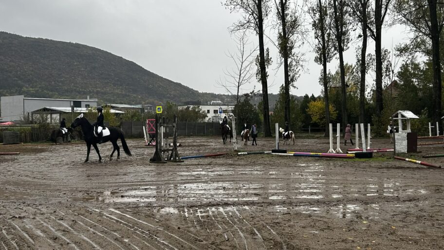 1bd5d4df 175c 47b2 8099 0dfbd49431c0