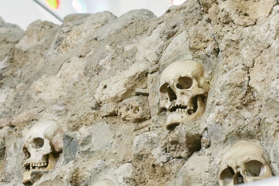 "Novo lice Ćele-kule" - otkrivena prva lica junaka Bitke na Čegru 10 202303 CeleKula42