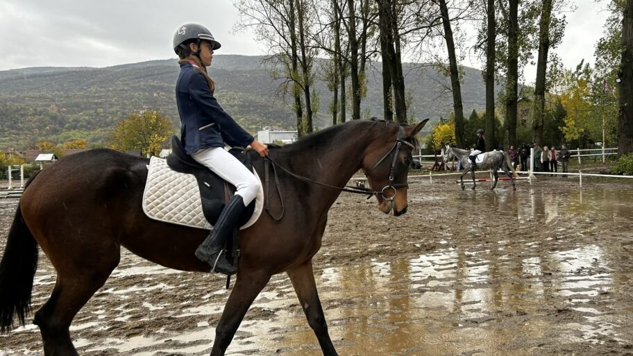 2256879c 20a9 42cc 984d e46005e20ee2