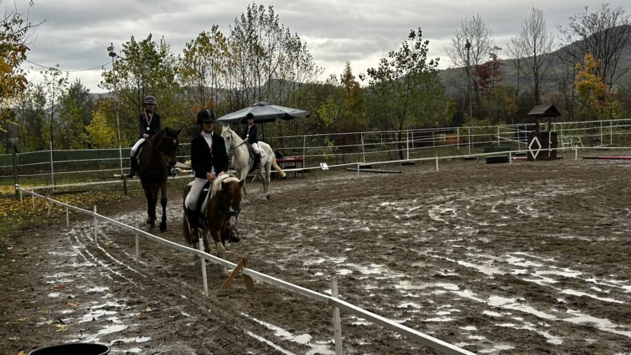 2f4552d0 5705 4461 9a09 c948abb4266c