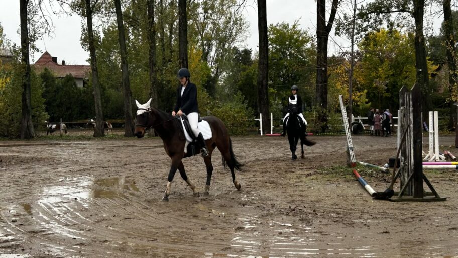 41929179 7f2e 4272 a36f e61056da67ff