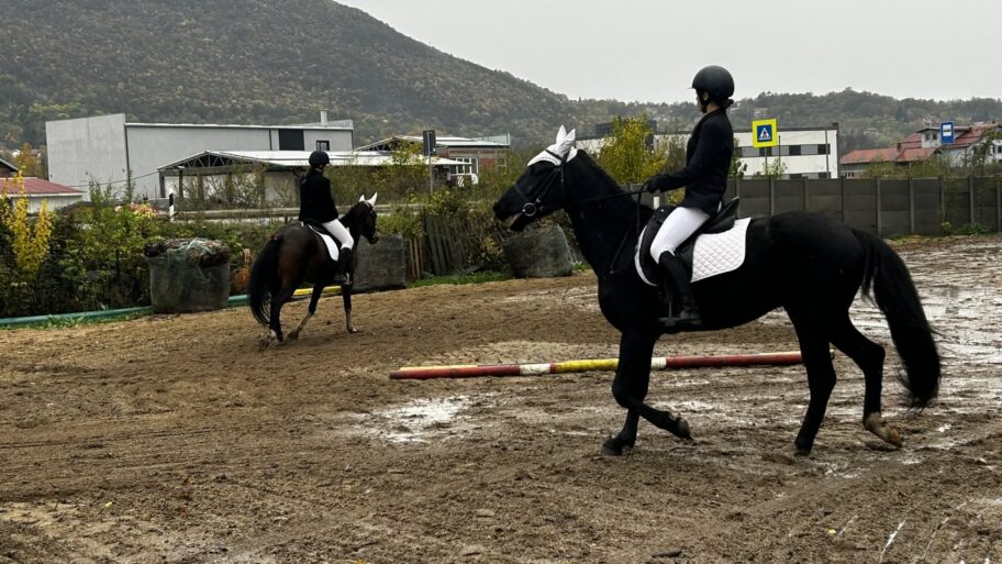 44fb8252 6e2b 4df7 b79e 6bb9bb0433fe