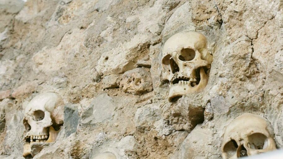 65b99fb0 cac4 11f0 96a1 218c6f417f59