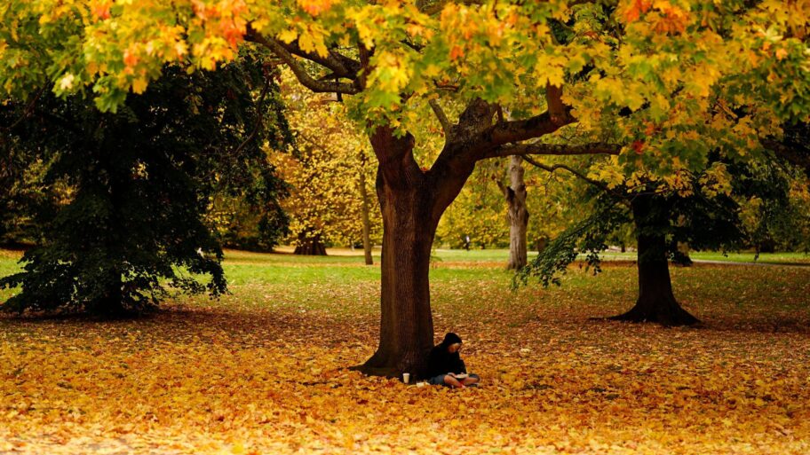 95e64ca0 a919 11f0 85e5 b7e4f930730c