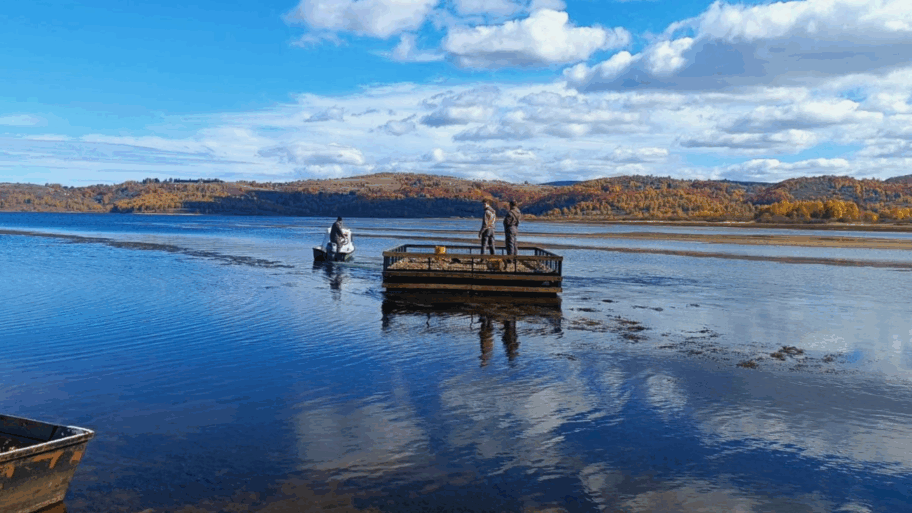 Na Vlasinskom jezeru postavljen splav za gnežđenje čigri 2 Screenshot 2025 11 06 at 10.06.55