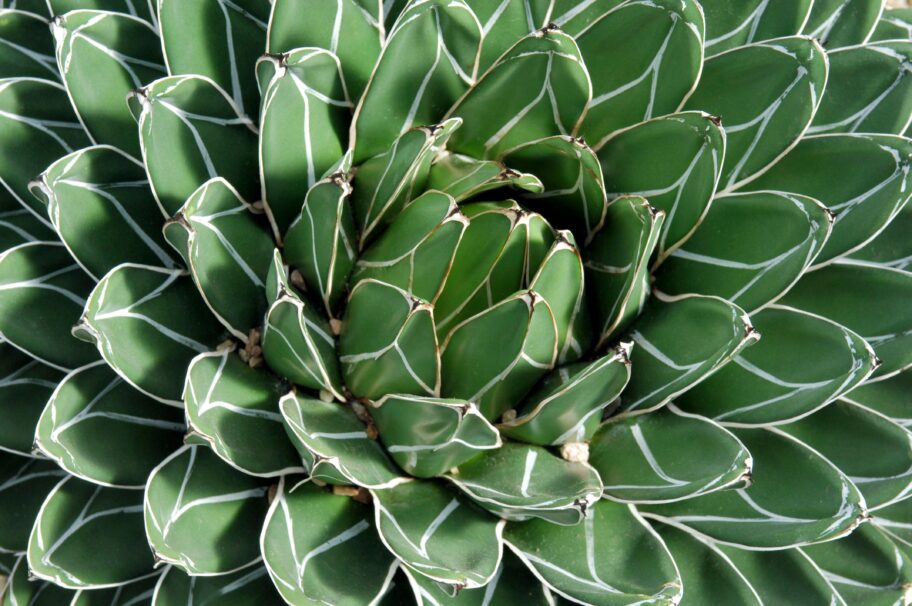 ad4acb70 c460 11f0 8669 5560f5c90fbe