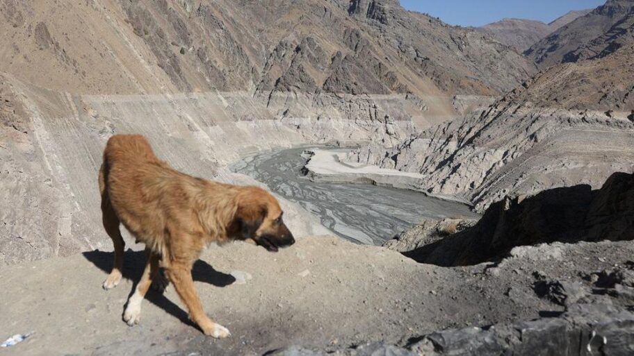 b22349e0 c381 11f0 81c6 45324e467f0e