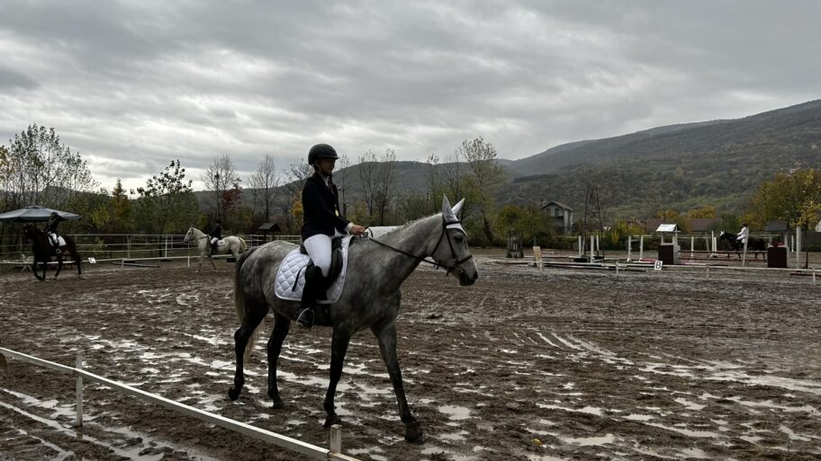 b3090321 5312 45ea bda4 ca636367d69c