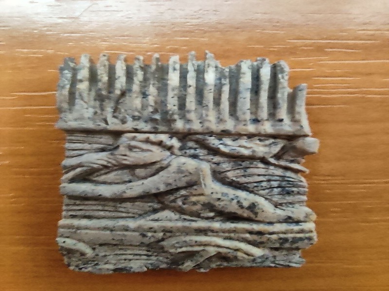 Na Hisaru pronađen češalj od kostiju iz 4. do 6. veka sa likovima apostola i ribara 2 cesalj