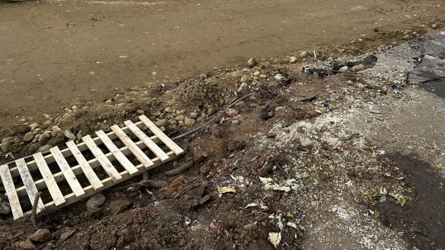 f01d7ee3 a9cc 4bd1 9dc4 dc73387b921e