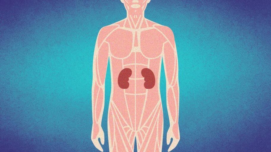 f5a77c60 bbbe 11f0 ba75 093eca1ac29b