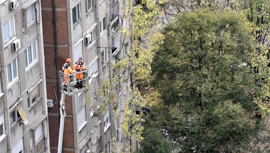 Zbog radova na drugoj deonici Vojvode Tankosića u Nišu stabla iščupana iz korena 6 fa1c33c8 91d6 440b a44b ab2ca17ca0b4 e1762423493179