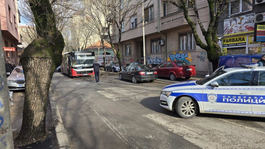 viber image 2025 11 20 11 53 09 075