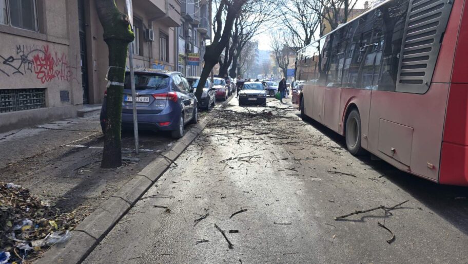 viber image 2025 11 20 11 53 09 272