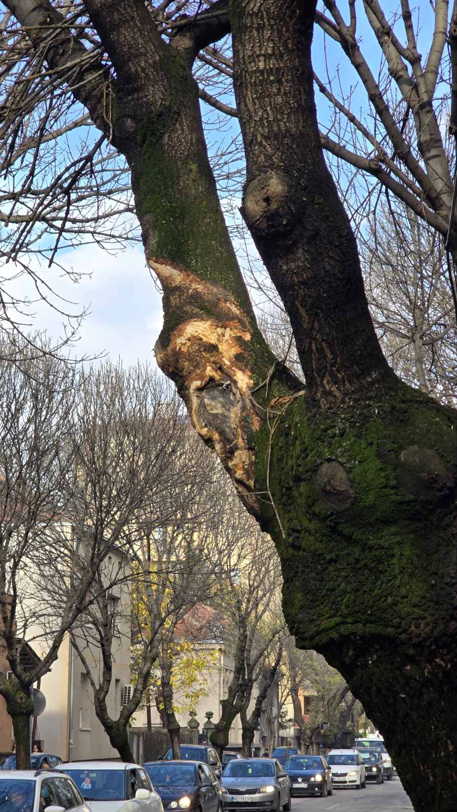 viber image 2025 11 20 12 06 05 934